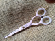 Jaguar Pre Style Ergo Pink design  5.5" Scissor.